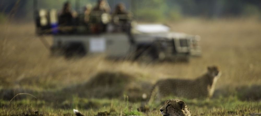 Kapinga Camp, Kafue National Park, Zambia  Â© Dana Allen - Image 9
