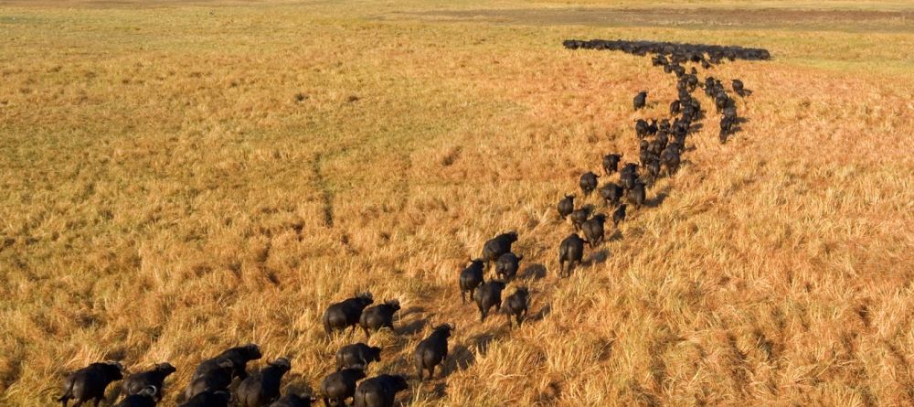 Kapinga Camp, Kafue National Park, Zambia  Â© Dana Allen - Image 11