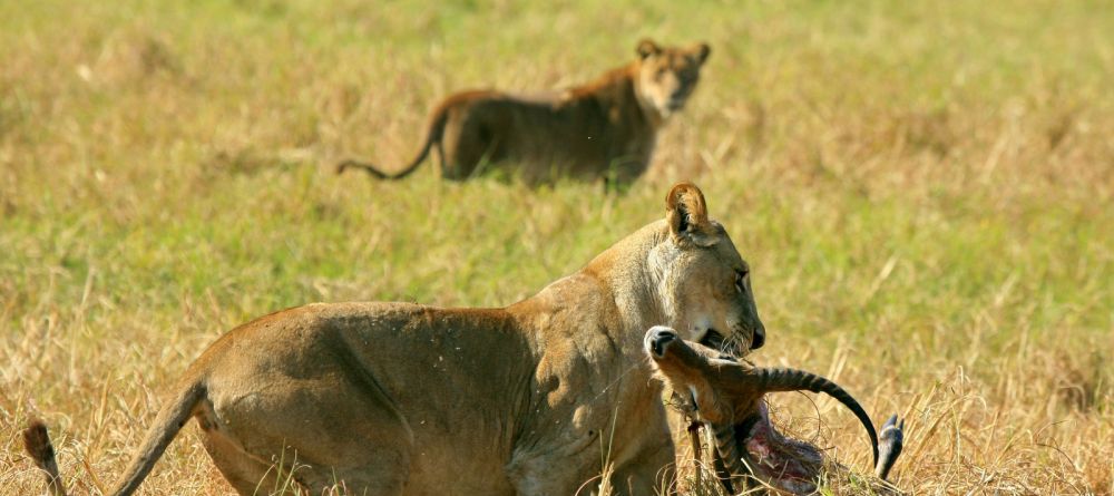Kapinga Camp, Kafue National Park, Zambia  Â© Mike Myers - Image 13