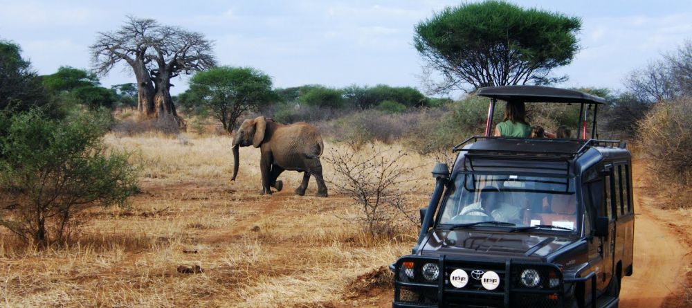 Game drive at Karen Blixen Camp, Masai Mara National Reserve, Kenya - Image 2