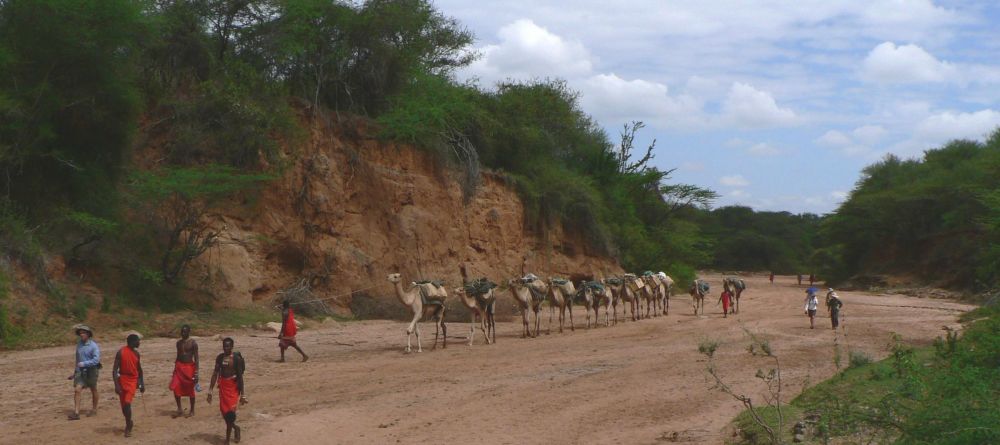 Karisia Camel Train - Image 11