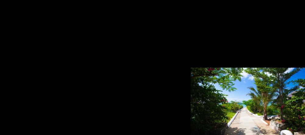 Blue skies and lush palms over the walkway to the beach at Kasha Boutique Hotel, Zanzibar, Tanzania - Image 12
