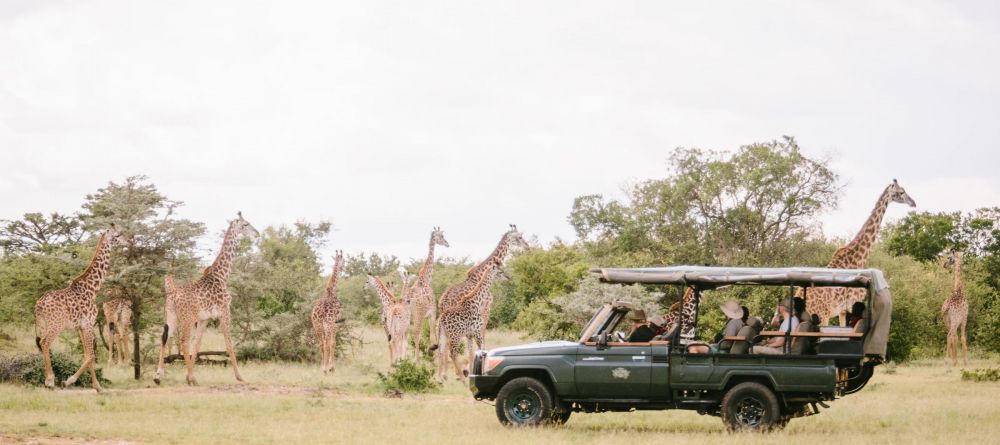 Cottar's 1920s Camp - Image 15