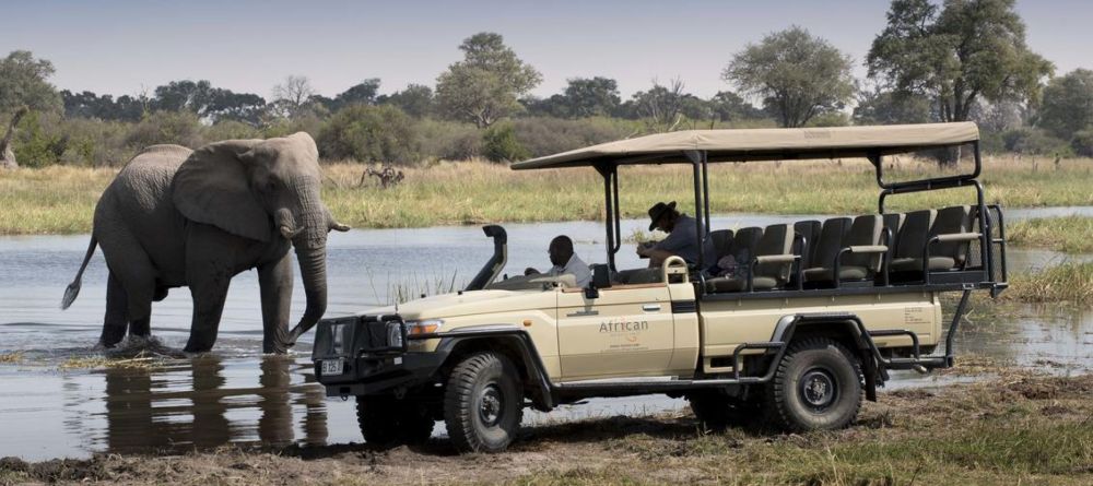 Khwai Bush Camp Game Drive - Image 5