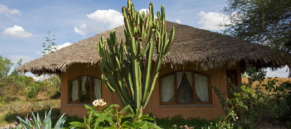 The lodge and setting at KIA Lodge, Arusha, Tanzania - Image 5
