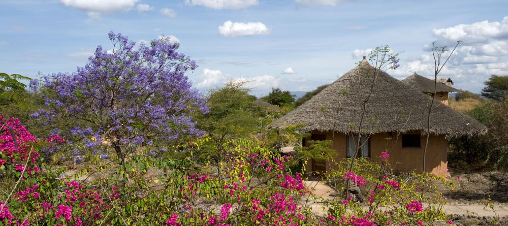 An abundance of flowers blooming at KIA Lodge, Arusha, Tanzania - Image 6
