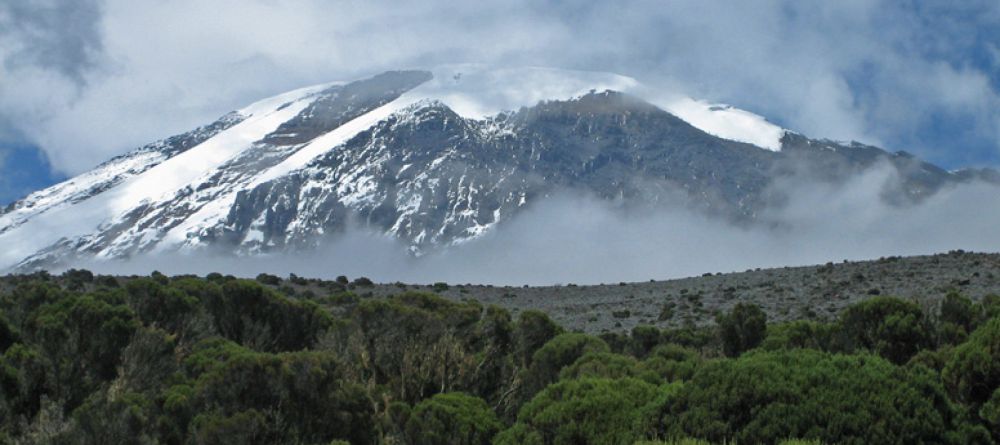 Mt. Kilimanjaro Western Approach - Image 10