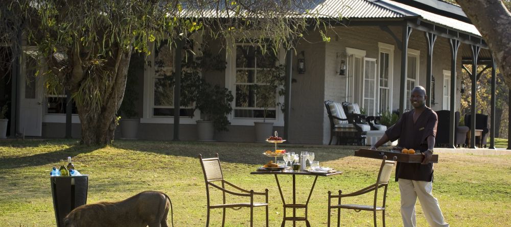 Kirkmans Kamp, Timbavati Nature Reserve, South Africa Â© AndBeyond - Image 6