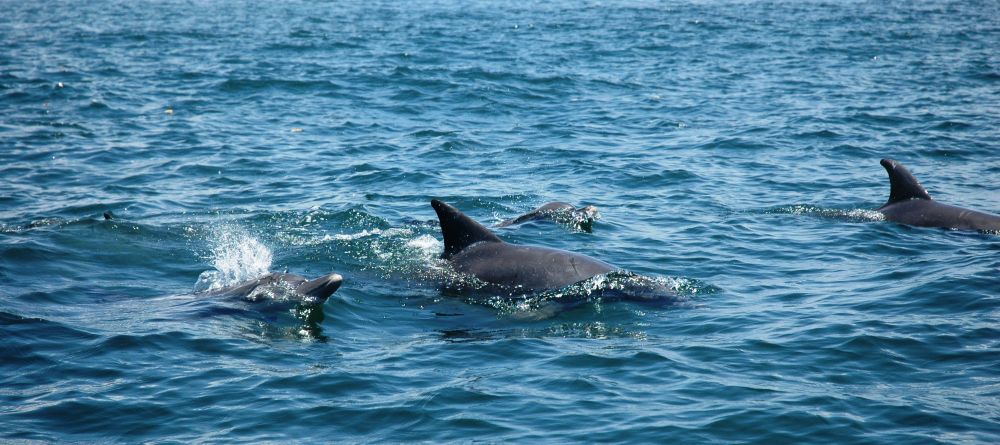 Kiwayu Safari Village, Kiwayu, Kenya - Image 16
