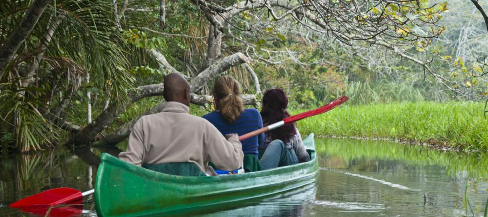 Kosi Forest Lodge - Image 4