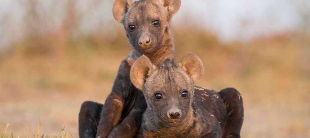 King Lewanika Camp - Image 12