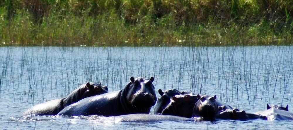 Kosi Forest Lodge - Image 2