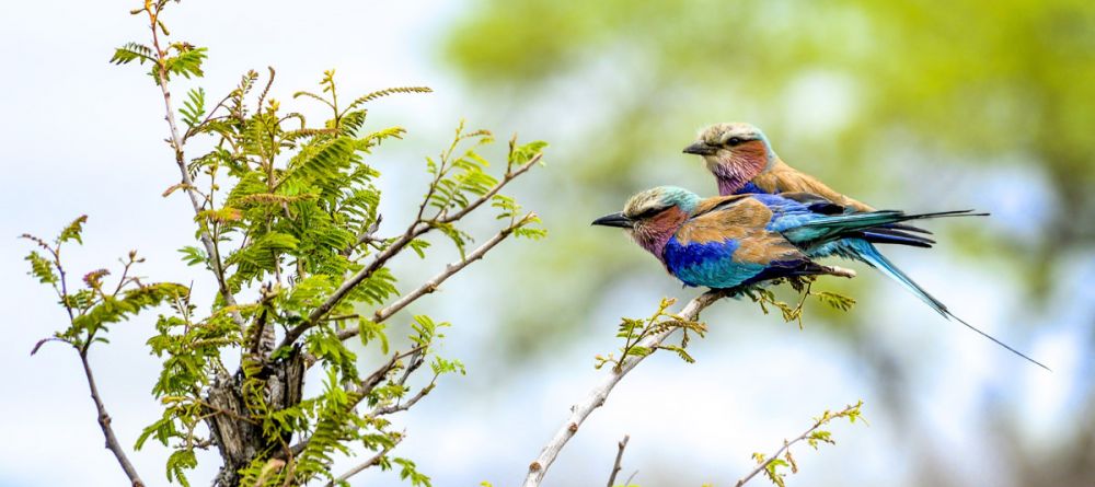 Khoka Moya Camp - Image 5