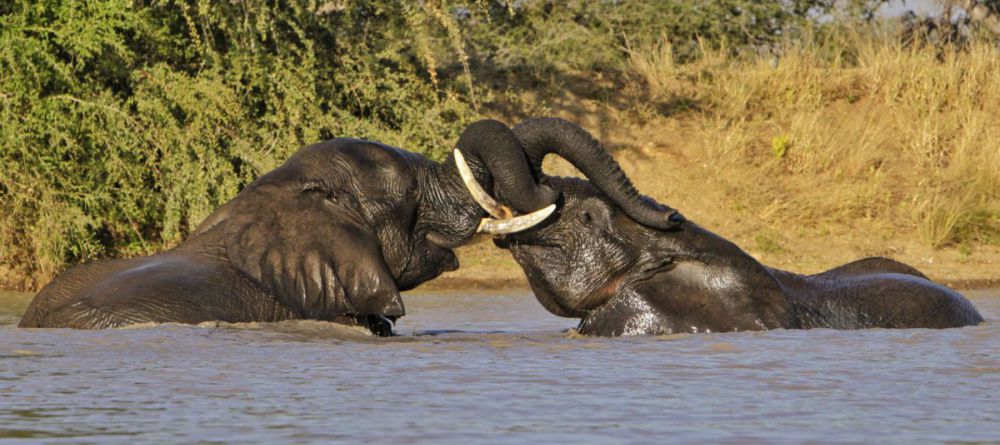 Kambaku River Sands - Image 5