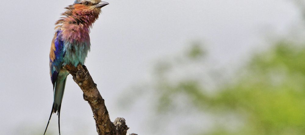 Kambaku River Sands - Image 1