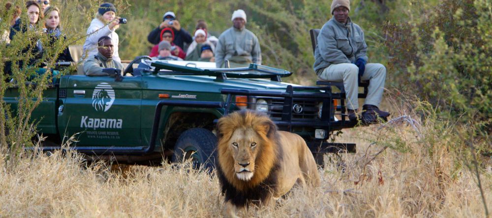 Kapama Southern Camp - Image 2