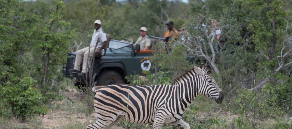 Kambaku Safari Lodge - Image 7