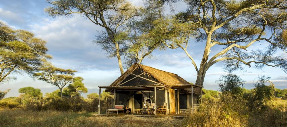 Kuro Tarangire - Image 17