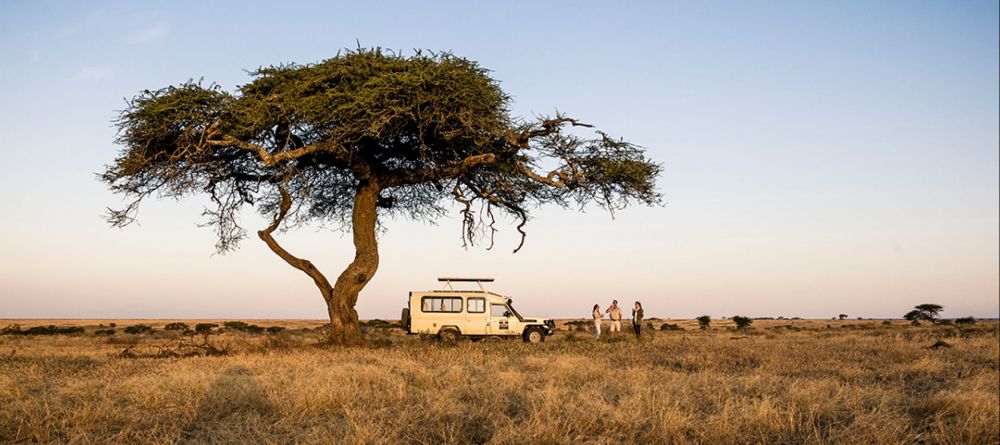 Kusini Camp  Drives - Image 14