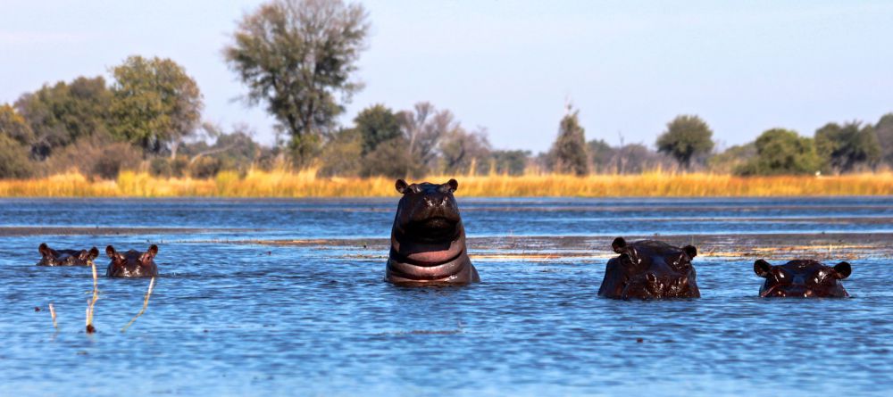Kwara Camp, Okavango Delta, Botswana - Image 2