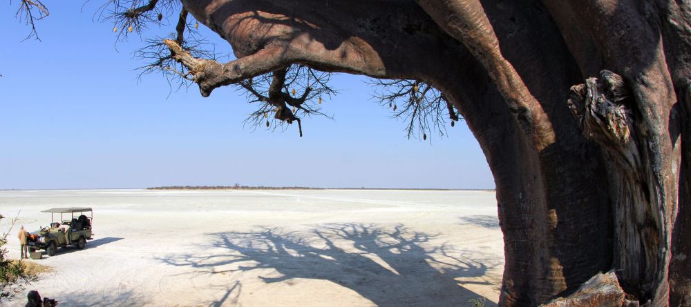 Nxai Pan Camp, Nxai Pan National Park, Botswana - Image 11