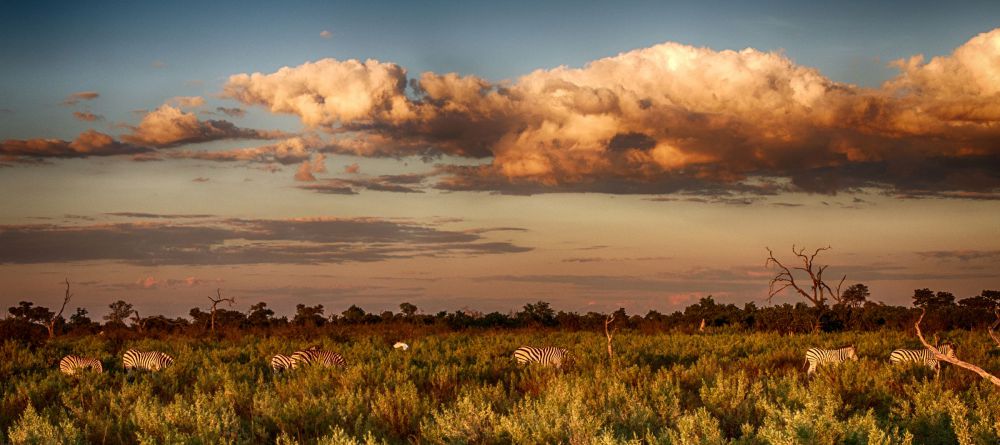 Nxai Pan Camp, Nxai Pan National Park, Botswana - Image 8