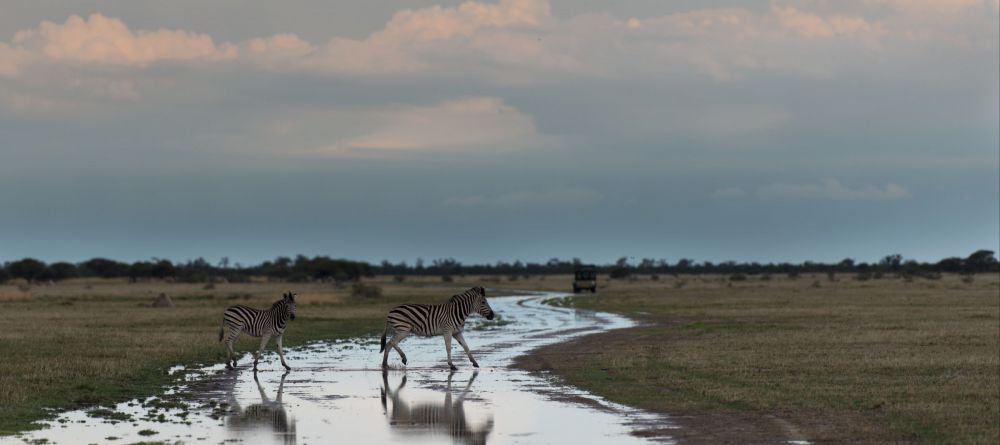 Nxai Pan Camp, Nxai Pan National Park, Botswana - Image 7