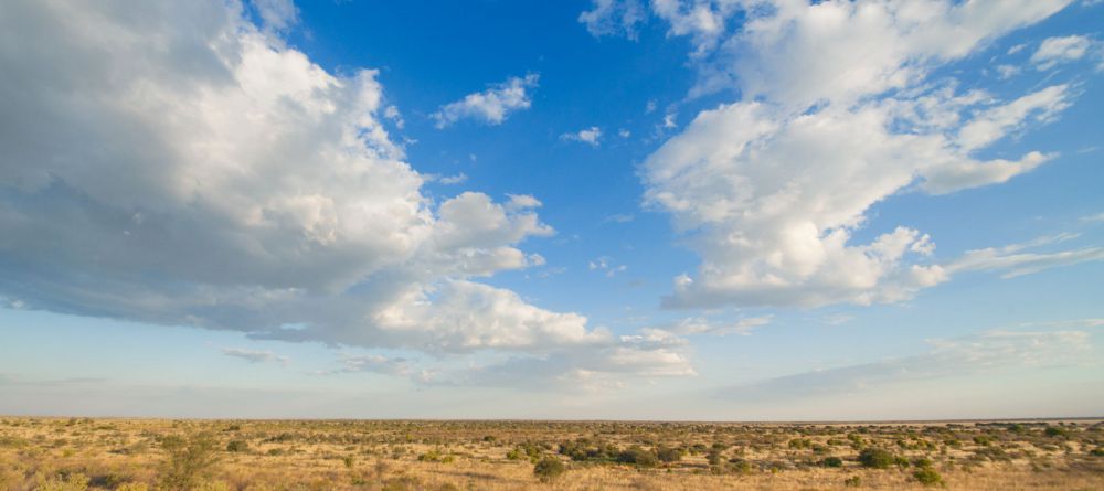 Tau Pan Camp, Central Kalahari Game Reserve, Botswana - Image 8