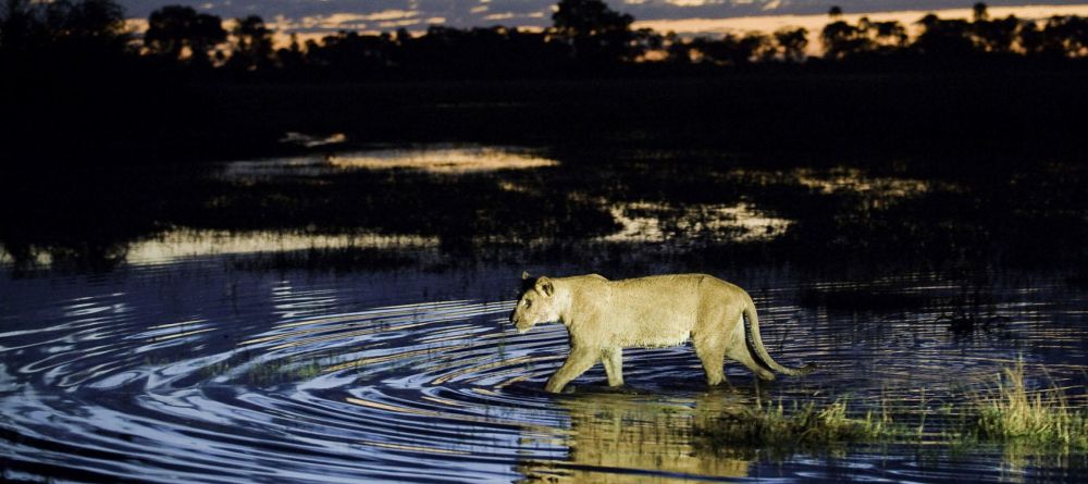 Kwetsani Camp, Okavango Delta, Botswana - Image 3