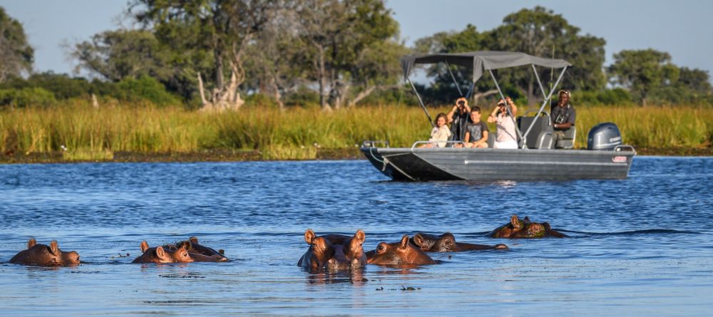 Boating with hippos - Image 14
