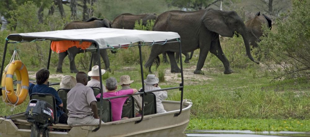 Spotting a herd of elephants while on a boat safari at Lake Manze Tented Camp, Selous National Park, Tanzania - Image 11