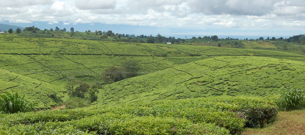Tukuyu farm - Image 1