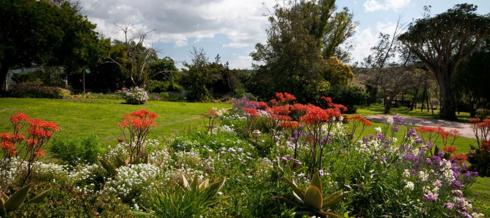 Amakhala Leeuwenbosch House - Image 4