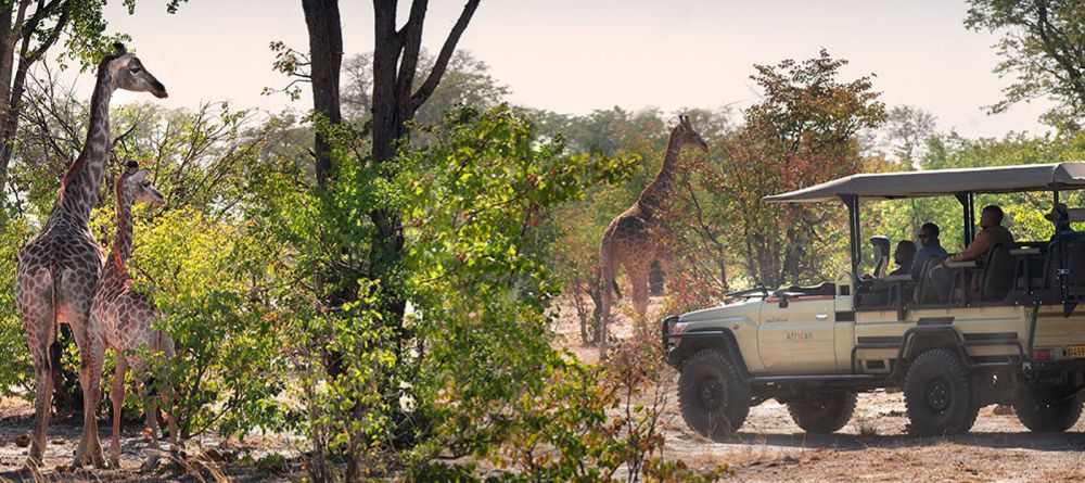 Linyati Explorer Camp safari - Image 7