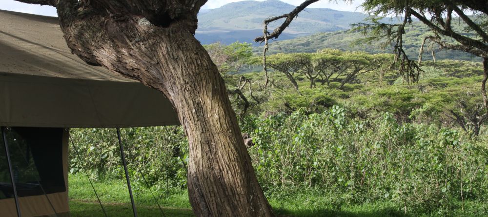 Lemala Ngorongoro, Ngorongoro Crater, Tanzania - Image 6