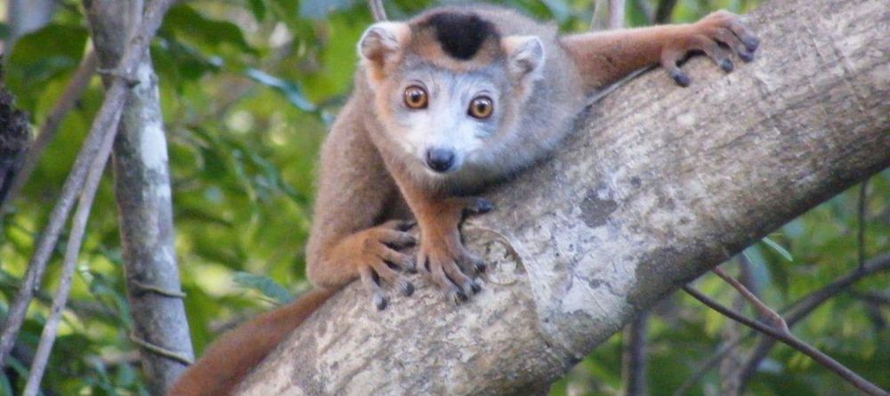 Relais de L'Ankarana, Ankarana National Park, Madagascar - Image 2