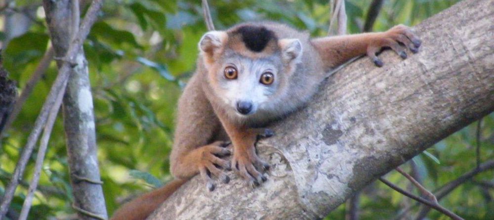 Ankarana Lodge, Ankarana National Park, Madagascar - Image 5