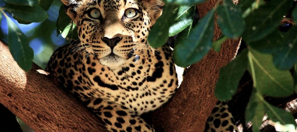 Loldia House, Lake Naivasha, Kenya - Image 10