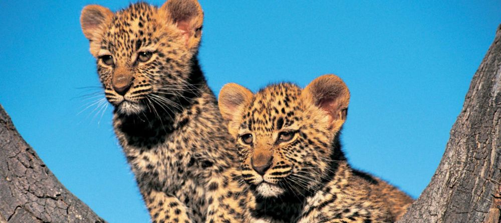 The Outpost, Kruger National Park, South Africa - Image 1