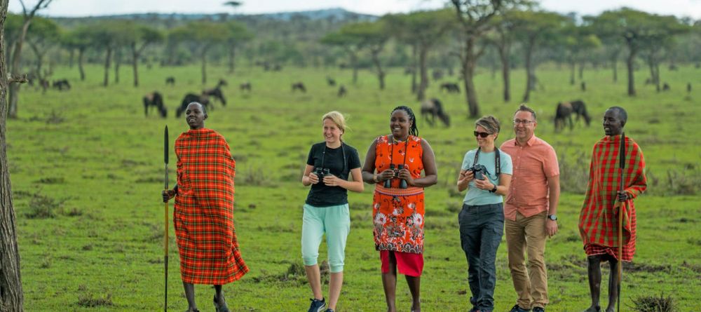 Leopard Hill - Image 1