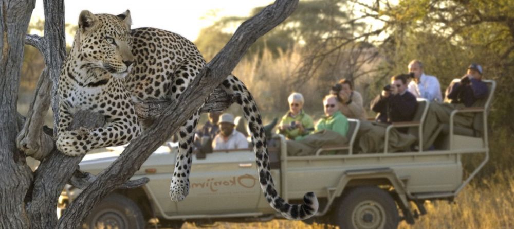 Okonjima Luxury Bush Lodge, Okonjima, Namibia - Image 9