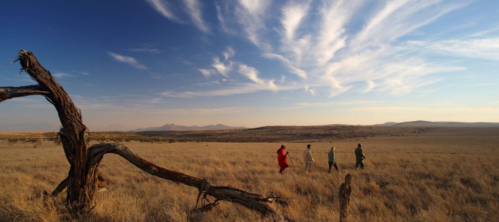 Lewa Safari Camp, Lewa Conservancy, Kenya - Image 7