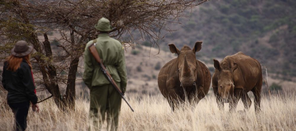 Lewa Safari Camp, Lewa Conservancy, Kenya - Image 8