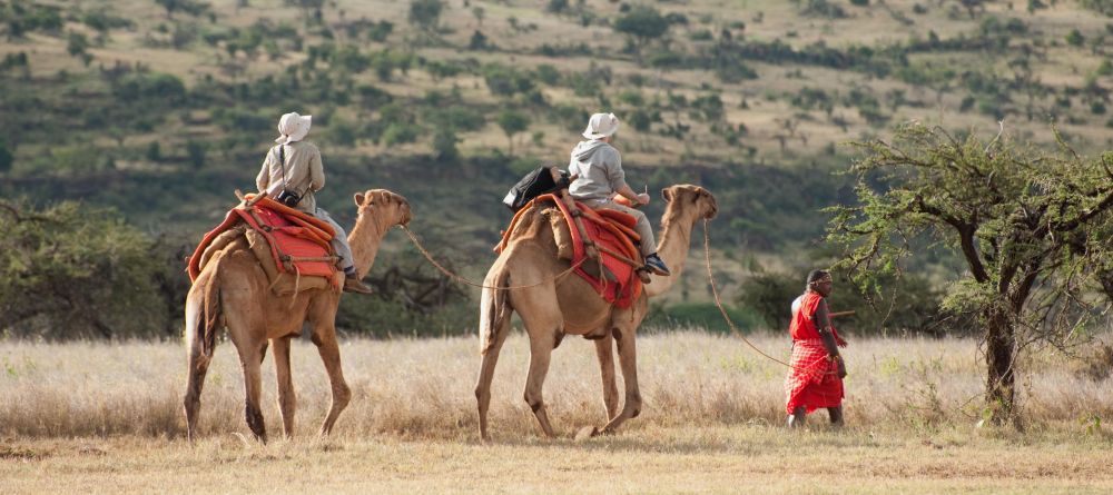 Camel-back trekking at Lewa Wilderness Trails, Lewa Conservancy, Kenya - Image 6