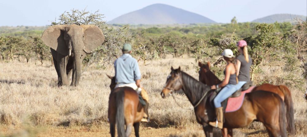Elephant Encounter - Lewa Wilderness Lodge - Image 11