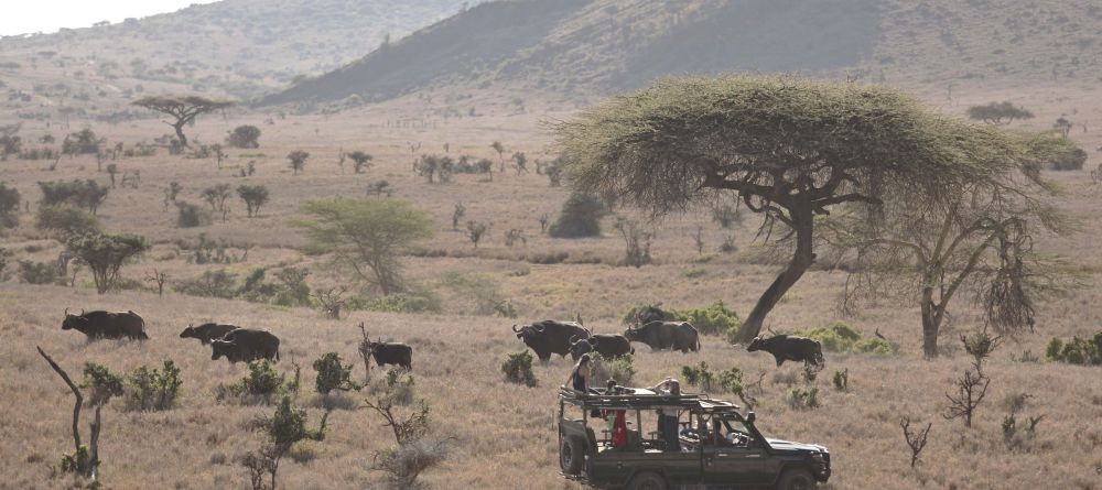 Safari - Lewa Wilderness Lodge - Image 4