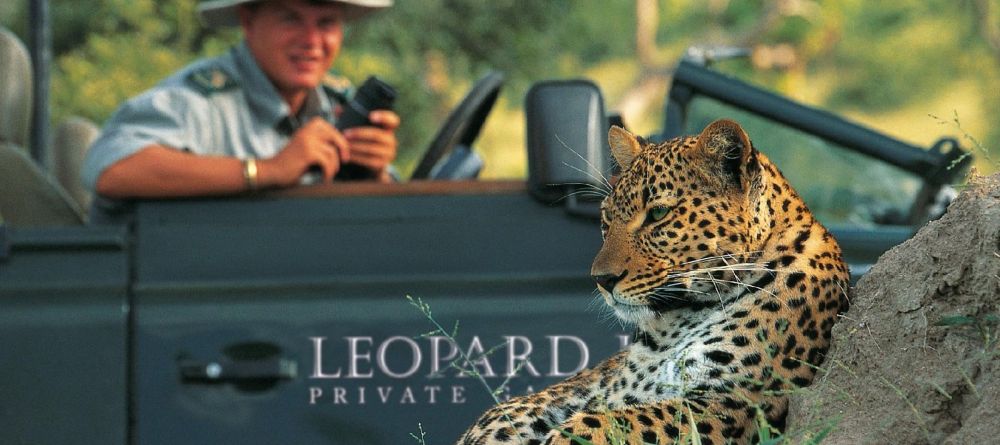 A close-up encounter with a leopard during a game drive at Leopard Hills Safari Lodge, Sabi Sands Game Reserve, South Africa - Image 1