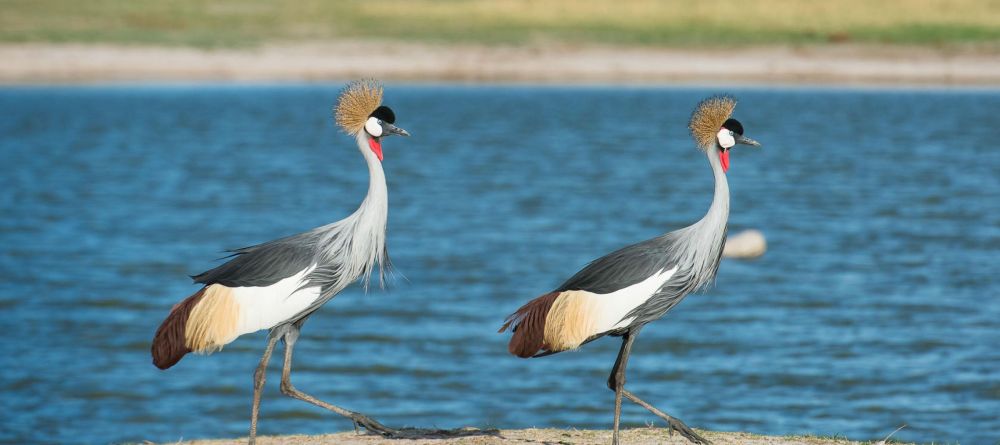 Linkwasha, Hwange National Park, Zimbabwe - Image 17