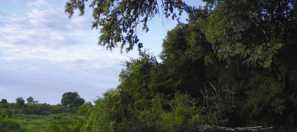 Lion Sands River Lodge, Sabi Sands Game Reserve, South Africa - Image 4