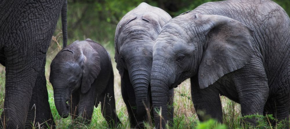 Lion Sands River Lodge, Sabi Sands Game Reserve, South Africa - Image 7